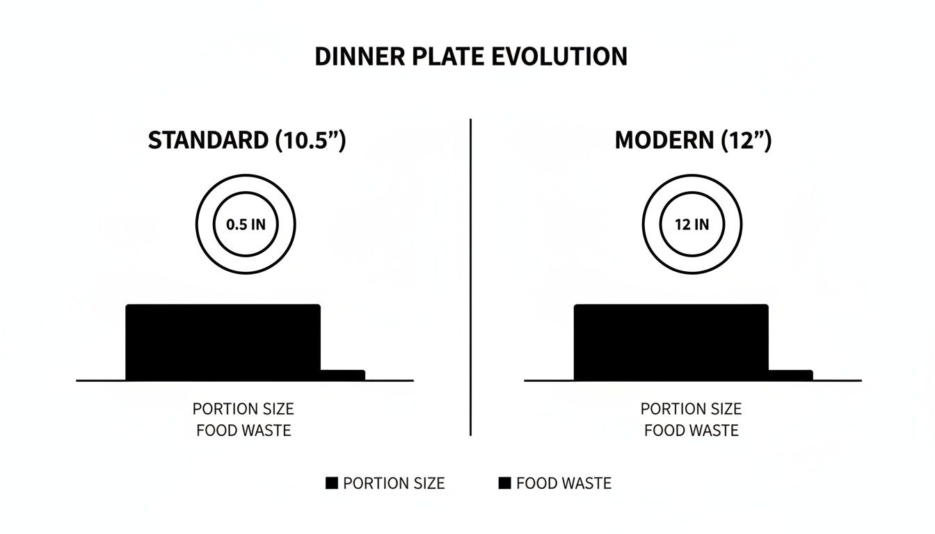 Diagram comparing standard (10.5") and modern (12") dinner plates, showing increased portion size and food waste.