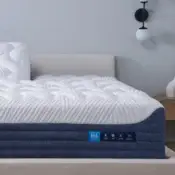 H Performance® Pillowtop Mattress - Medium (H4) / Split King - Image 2