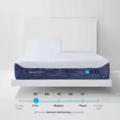 H2 Performance® Mattress - Firm (H2) / Split Head Queen