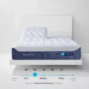 H Performance® Pillowtop Mattress - Medium (H4) / Split King