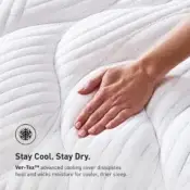 H Performance® Pillowtop Mattress - Plush (H6) / King - Image 3