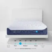 H Performance® Pillowtop Mattress - Medium (H4) / Queen